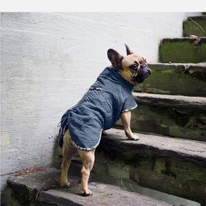 Hurtta Drizzle Coat-Blue Size 40XL (C)/ 16XL (In)